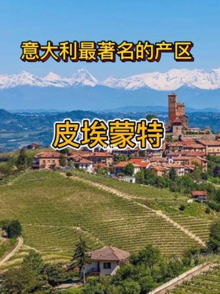 尤文图斯为什么改名皮埃蒙特（尤文图斯为什么叫皮埃蒙特）