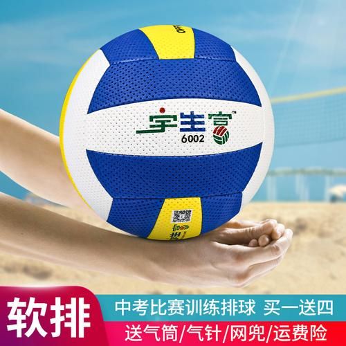 排球在线论坛（排球在线论坛官网）