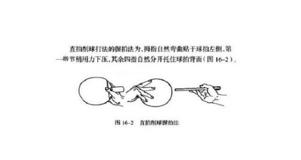 日式直拍太恶心了（日式直拍的握法图）