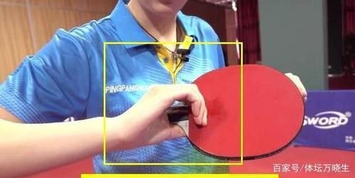 日式直拍太恶心了（日式直拍的握法图）