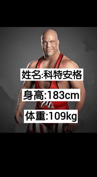 美国职业摔角视频（美国职业摔角619）