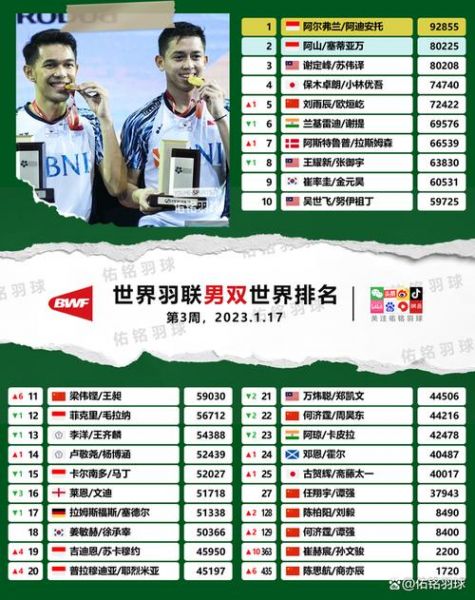 羽毛球 世界排名（韩悦羽毛球世界排名）