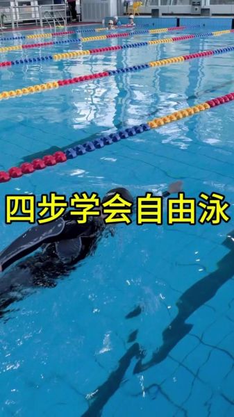 自由泳教学视频分解动作（自由泳教学完整视频）