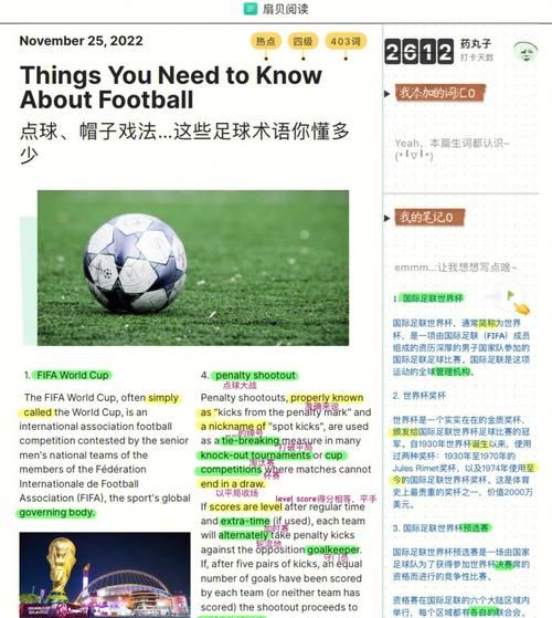足球知识科普十条（足球小知识12条）