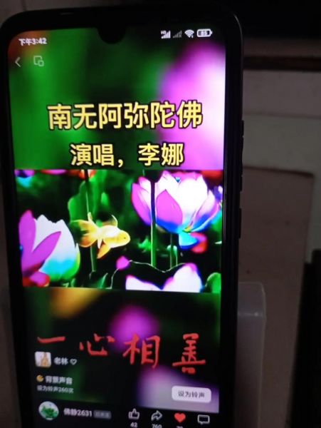 李娜南无阿弥陀佛歌曲（李娜南无阿弥陀佛歌曲正版）