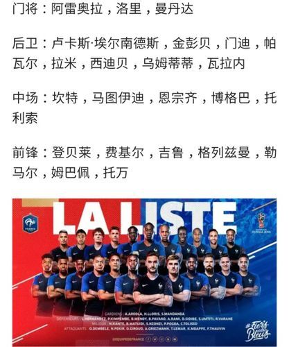 法国队世界杯名单（法国队足球世界杯名单）