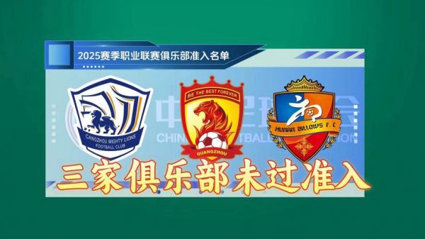 湖南湘涛足球俱乐部（湖南湘涛足球俱乐部有限责任公司）
