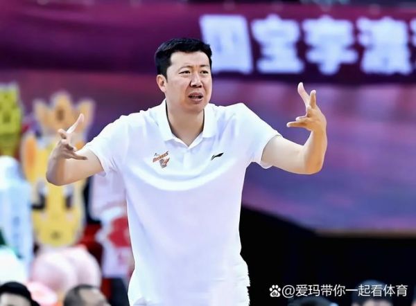 王治郅nba视频（王治郅nba比赛视频录像）