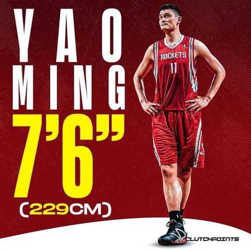 现役nba球员身高一览表（现役nba身高排行）