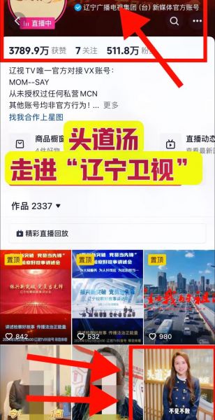 辽宁卫视网站，搜索辽宁卫视