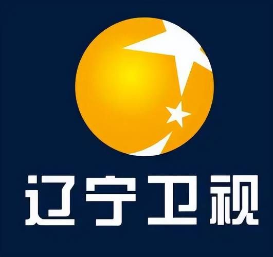 辽宁卫视网站，搜索辽宁卫视
