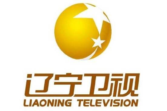 辽宁卫视在线观看，2025辽宁卫视在线观看