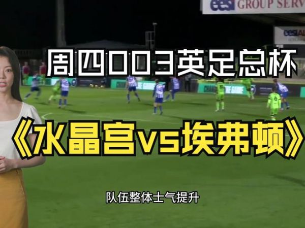 埃弗顿对水晶宫，埃弗顿什么水平