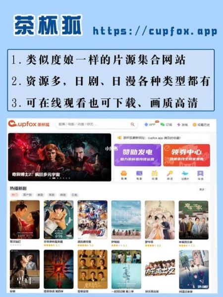 日本视频直播网站，日本视频直播网站大全