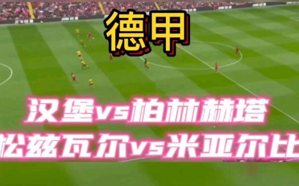 汉堡对柏林赫塔，汉堡柏林赫塔集锦