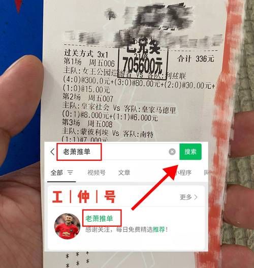 突尼斯澳大利亚比分预测，澳大利亚尼日利亚比分