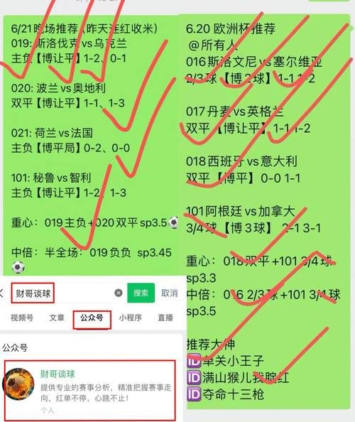 荷兰VS捷克比分预测，荷兰vs捷克比分预测分析
