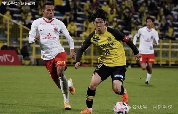 名古屋鲸八vs冈山绿雉，名古屋鲸八vs冈山绿雉结果