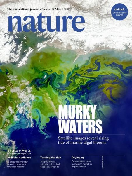 约翰梅尔，约翰梅尔human nature