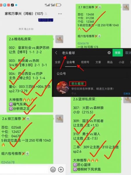 荷甲直播，荷甲直播在哪个平台