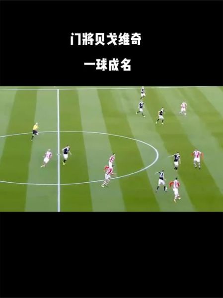 贝戈维奇，贝戈维奇什么水平