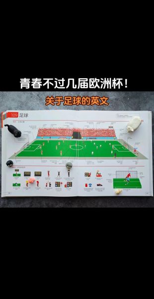 足球赛事分析，足球赛事分析英中文对照