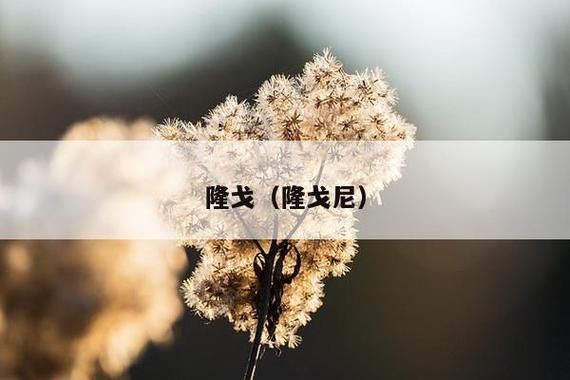 隆戈，隆戈尼是哪个国家