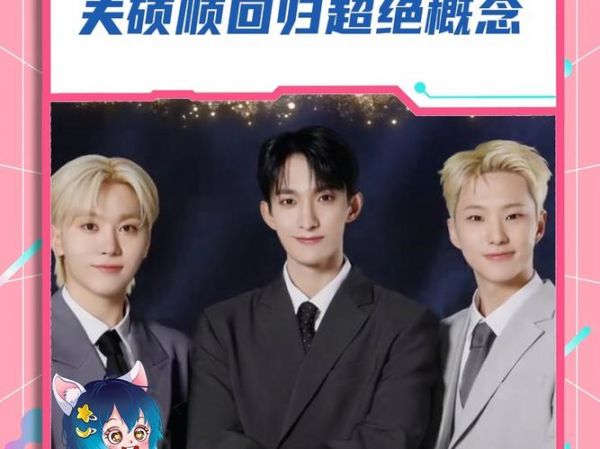 bss，bss是哪个团