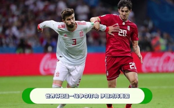世界杯伊朗对美国，世界杯伊朗美国球迷
