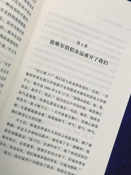 巴尔迪维亚，巴尔迪维亚 小说