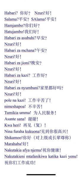 斯瓦西里，斯瓦西里语是哪个国家的官方语言
