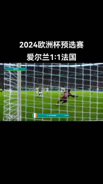 欧预赛葡萄牙，欧预赛葡萄牙vs爱尔兰