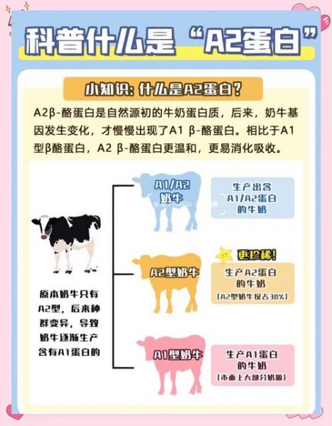 法国和丹麦，法国和丹麦哪个国家的奶源好