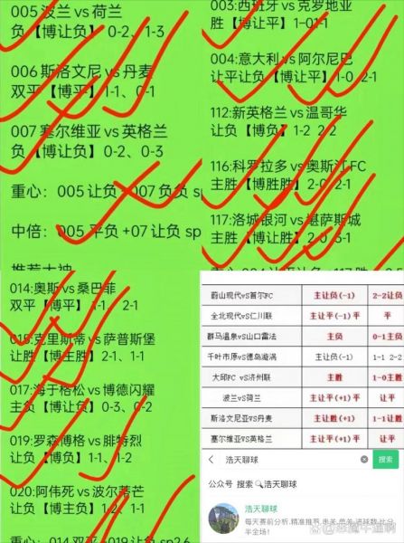 波兰对荷兰比分预测分析，波兰对荷兰比分预测分析解说大林
