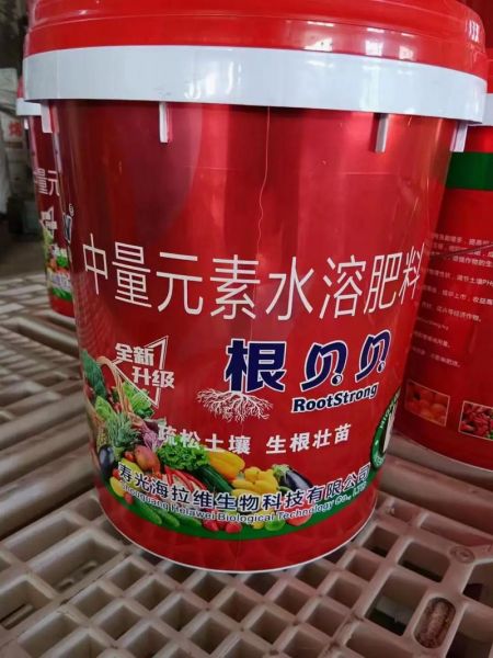 贝根，贝根管道