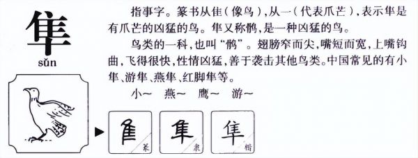 隼人，隼怎么读