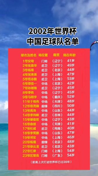 2002世界杯中国队预选赛战绩，2002世界杯中国队预选赛战绩表