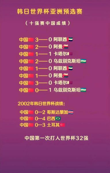 2002年韩日世界杯中国队名单，2002韩日世界杯中国队主力阵容