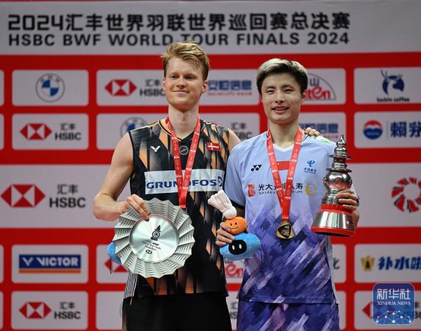 2010羽毛球世锦赛决赛，2010羽毛球世锦赛男单决赛