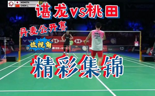 2019年中国羽毛球公开赛，2019年中国羽毛球公开赛男单半决赛谌龙vs桃田贤斗