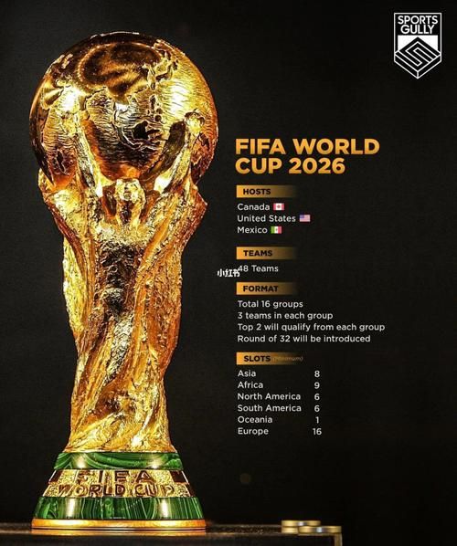 2026年世界杯举办国家，2026年世界杯举办城市