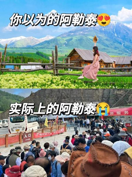cctv1回看的直播回放，cctv1回看直播回放我的阿勒泰