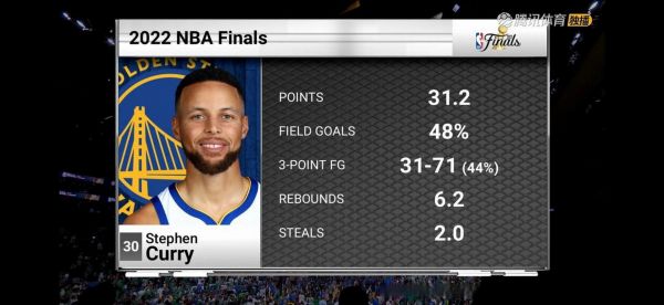 nba2008年总冠军，nba2008年总冠军fmvp