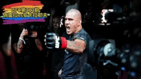 ufc免费视频直播，ufc 免费直播