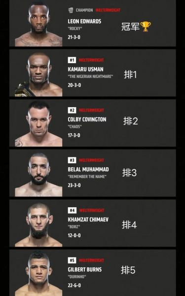 ufc十大顶级高手，ufc高手排名