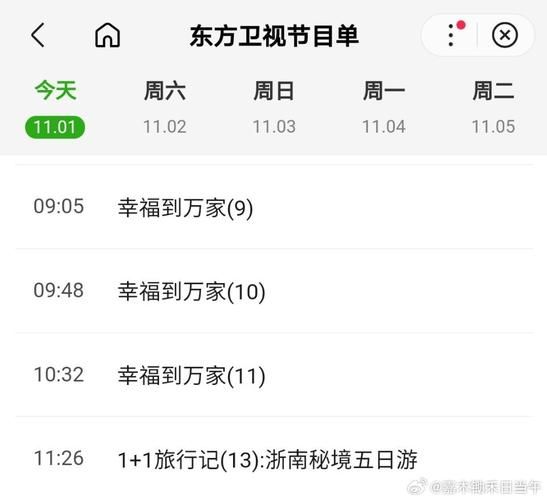 上海东方卫视在线节目观看，上海东方卫视频道节目