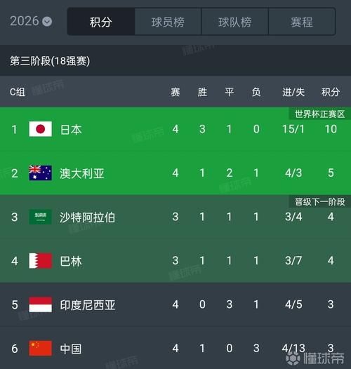 世界杯预选赛亚洲区排名，世界杯预选赛亚洲区中国排名