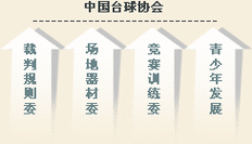 中国台球，中国台球协会