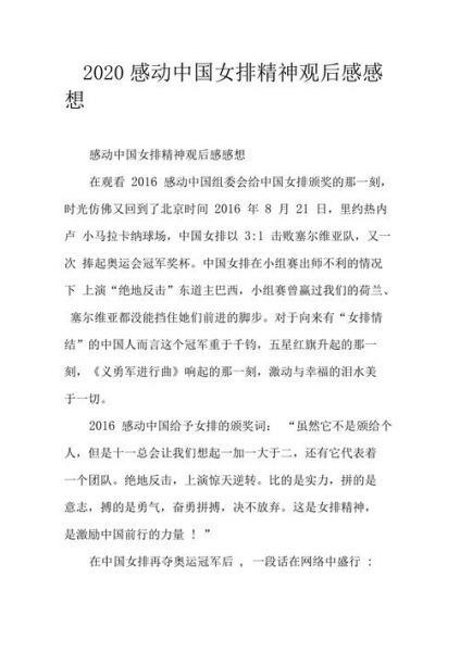中国女排评价，中国女排评价感动中国