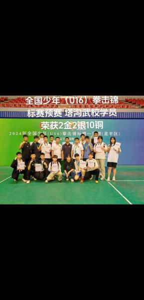 中国拳击排名前十，中国拳击排名第一